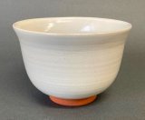 茶道具 抹茶茶碗 辰（たつ）、 龍画、 亀禄窯 眞清水 福山（伸